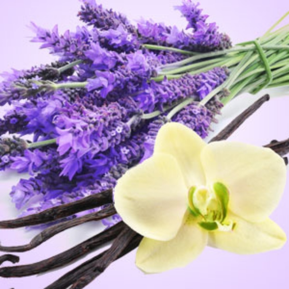 Vanilla Lavender Hand Poured Soy (6.5oz) Candle